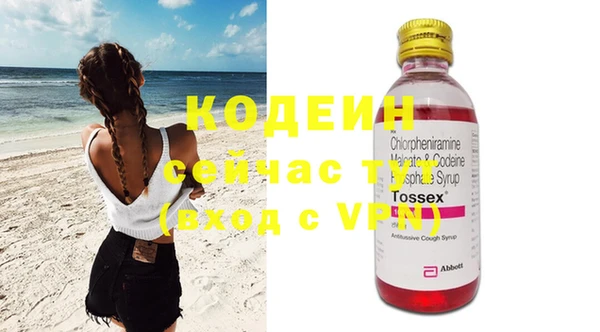 стаф Коряжма