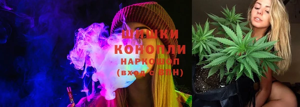 стаф Коряжма