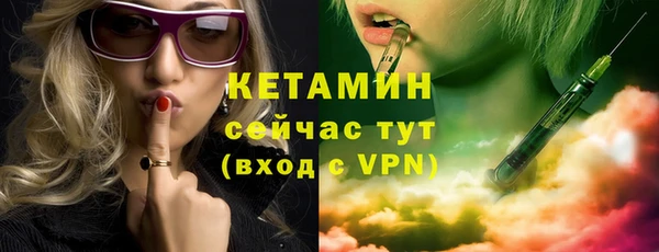 сатива Корсаков