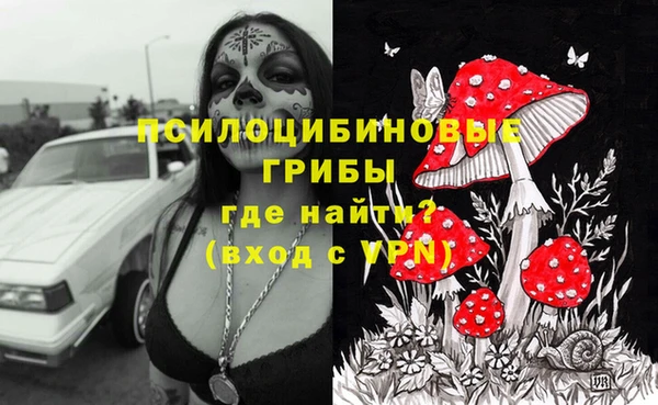 стаф Коряжма