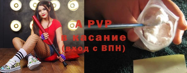 сатива Корсаков