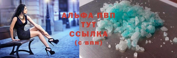 сатива Корсаков