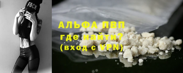 сатива Корсаков