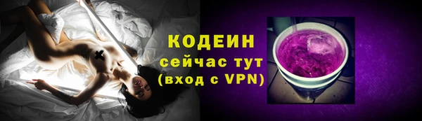 сатива Корсаков