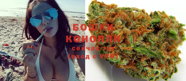 стаф Коряжма