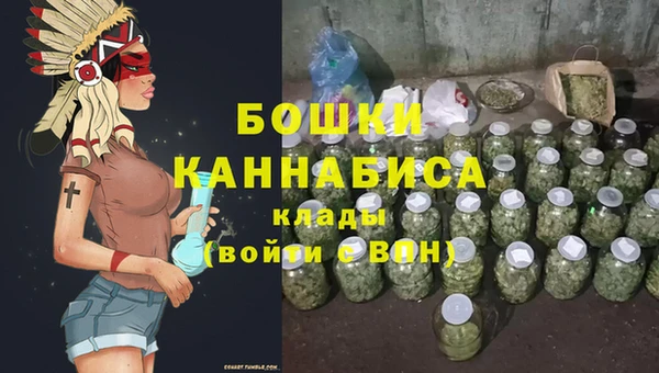 крисы Костерёво