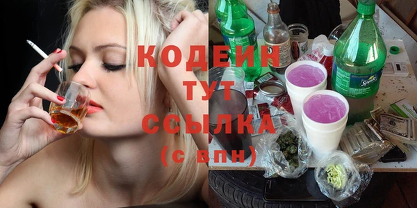 сатива Корсаков