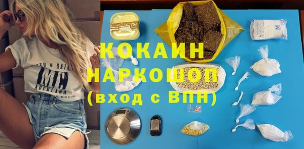 сатива Корсаков