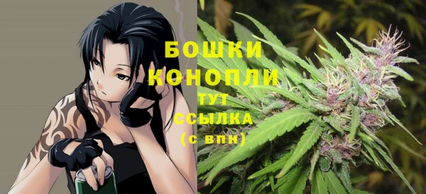 крисы Костерёво