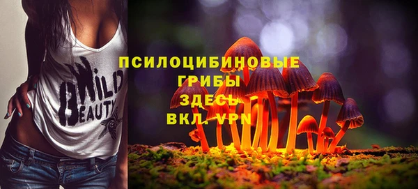 крисы Костерёво
