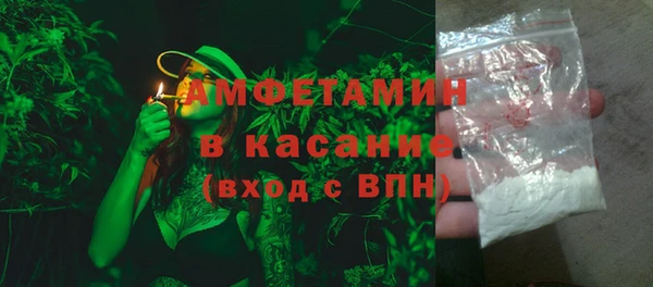 сатива Корсаков